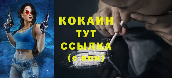 индика Корсаков