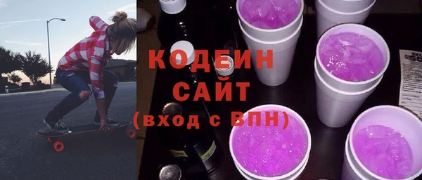 индика Корсаков