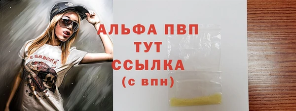 индика Корсаков