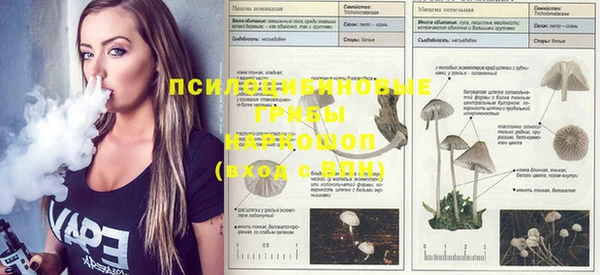 mix Козельск