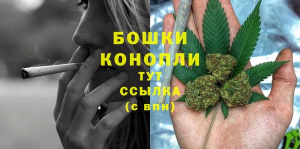mix Козельск