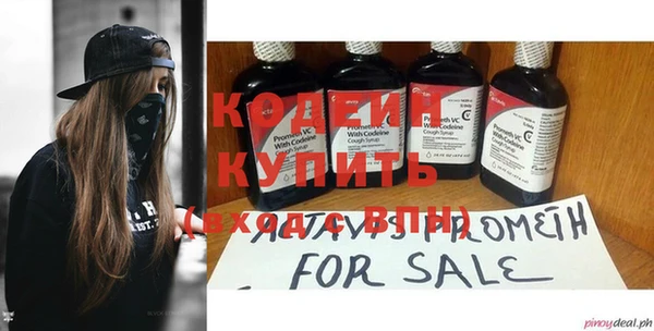 индика Корсаков