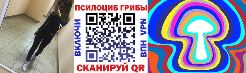 что такое   Луховицы  Псилоцибиновые грибы ЛСД 