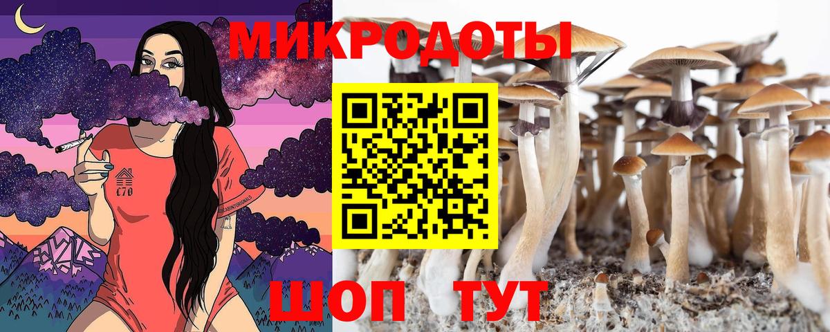 Галлюциногенные грибы Psilocybine cubensis Луховицы