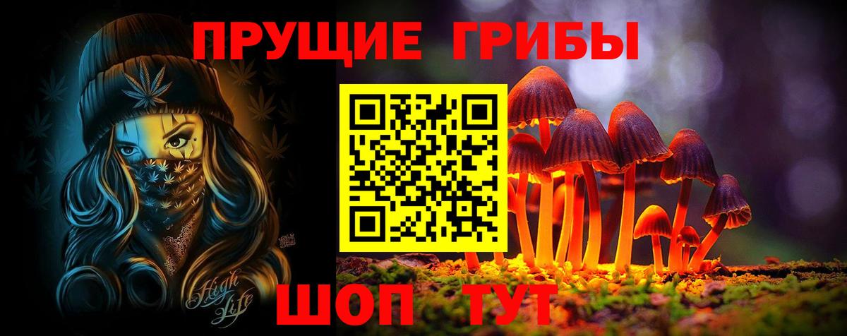 Галлюциногенные грибы Psilocybine cubensis  Вход с VPN  Луховицы 