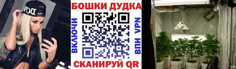 Канабис AK-47 цены наркотик Луховицы